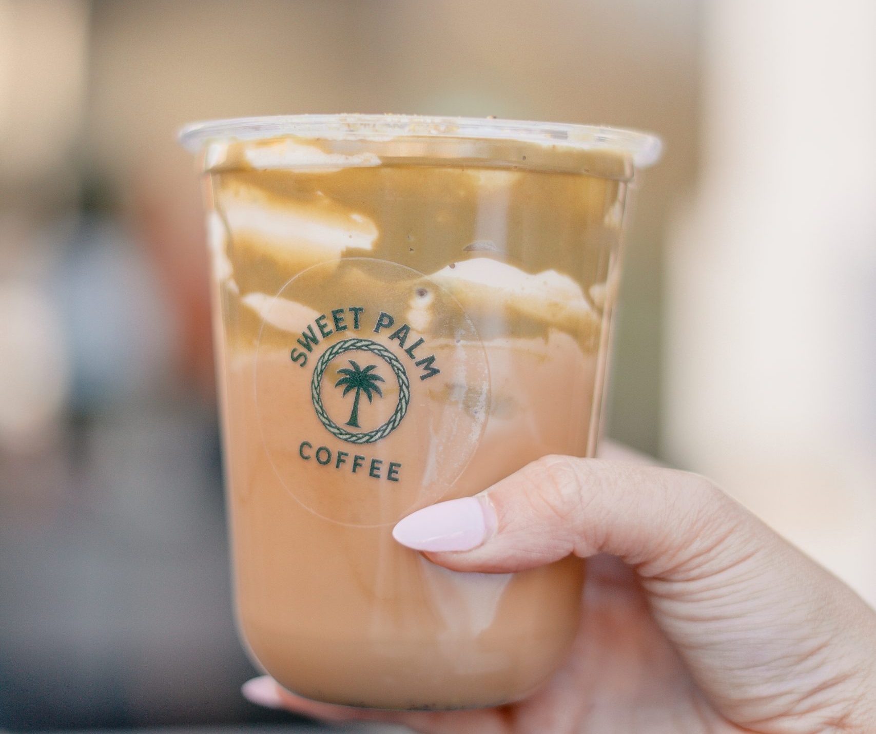 Sweet Palm Coffee opens on King St